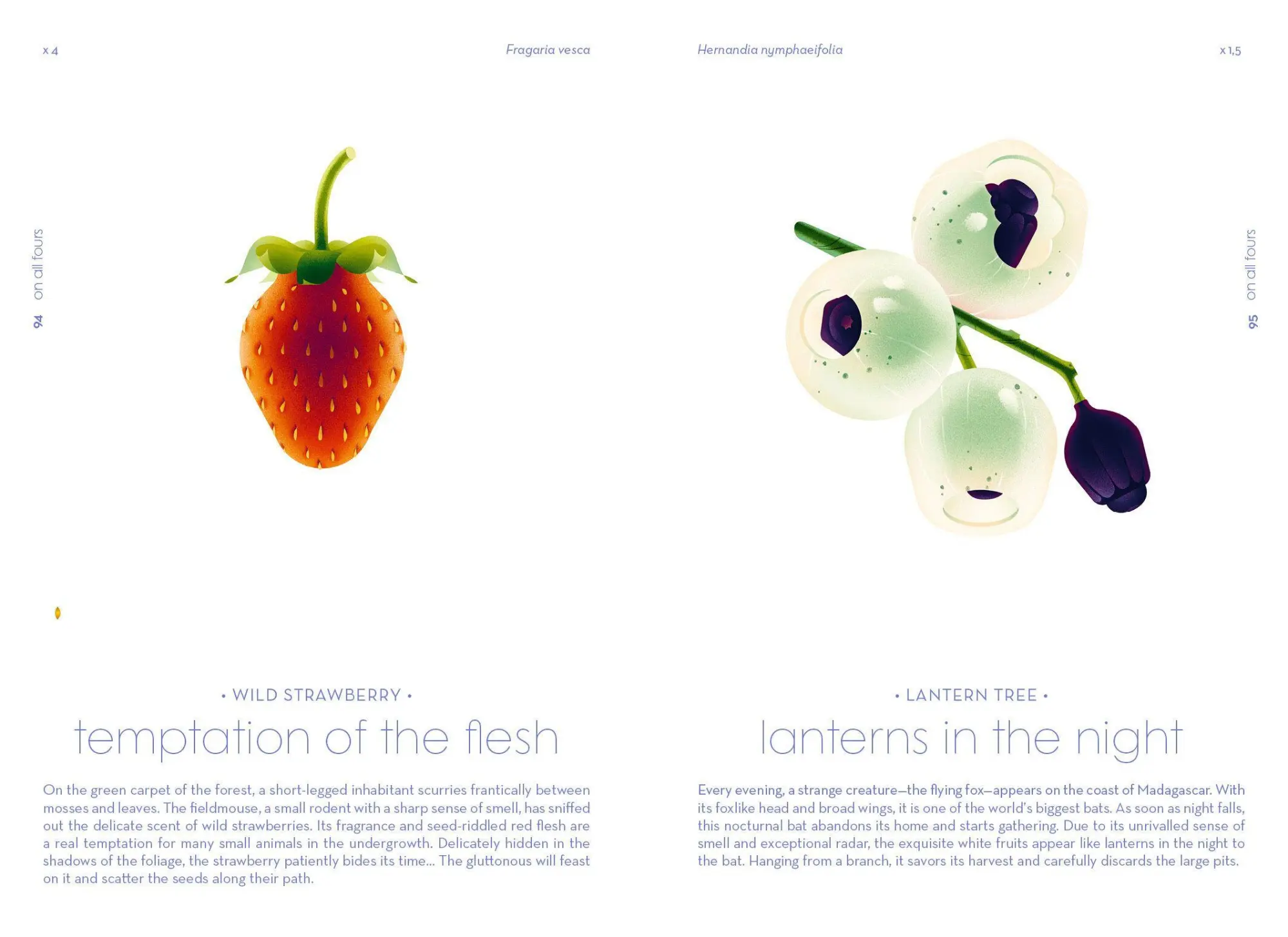 Bild: 9783791375960 | Seeds | Nature's Intrepid Miracles | Cruschiform | Buch | 152 S.