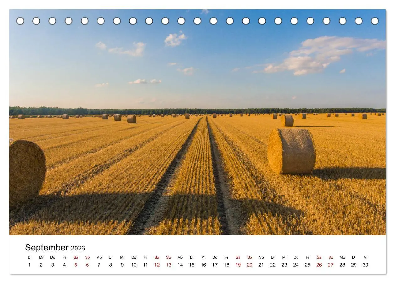 Bild: 9783457706060 | Altmarkliebe (Tischkalender 2026 DIN A5 quer), CALVENDO Monatskalender