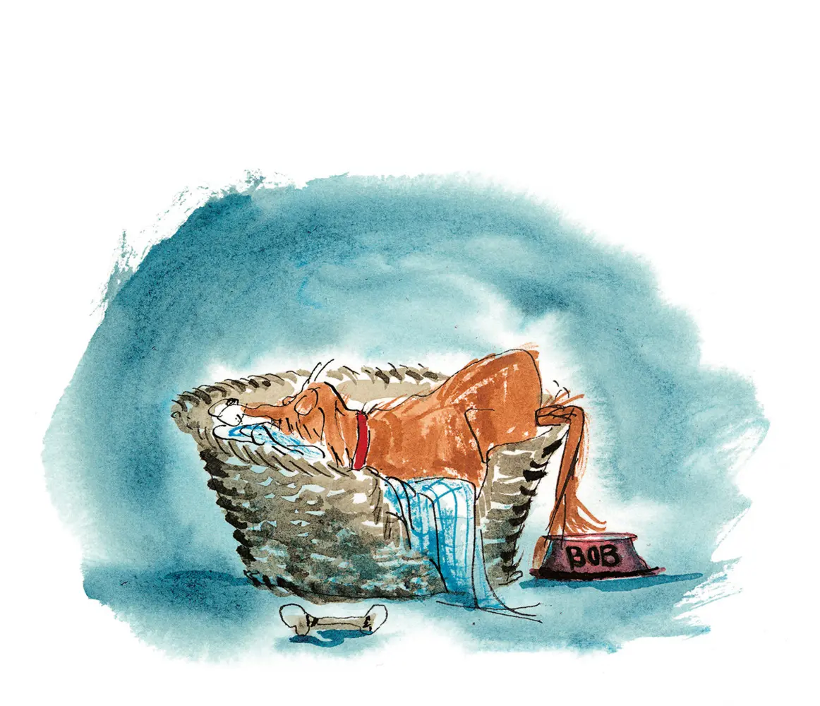 Bild: 9783772526060 | Top Bob - dein Hund und Retter | Harmen Van Straaten | Buch | 61 S.