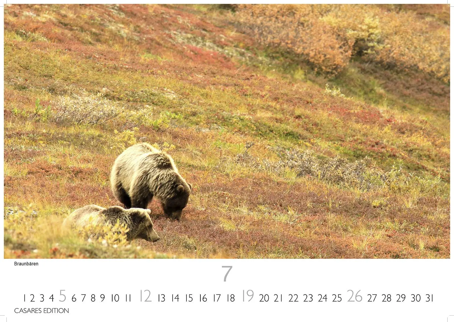 Bild: 9781835246160 | Alaska 2026 L 35x50cm | Kalender | 14 S. | Deutsch | 2026