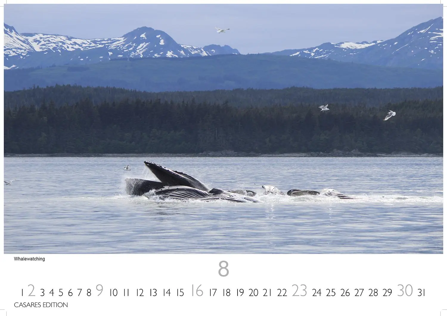 Bild: 9781835246160 | Alaska 2026 L 35x50cm | Kalender | 14 S. | Deutsch | 2026
