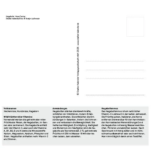 Bild: 9783861926160 | Heilpfanzen rund um den Bodensee 2027 | Postkarten-Tischkalender