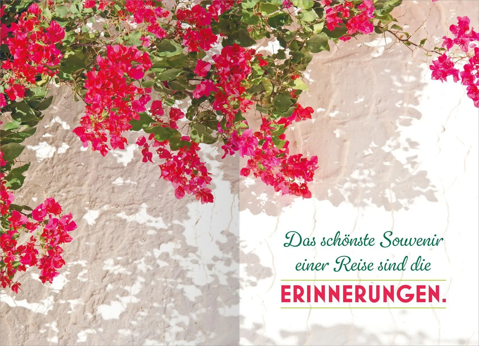 Bild: 4014489136460 | Mein Reisetagebuch - Farben des Sommers | Maïté Franchi | Taschenbuch