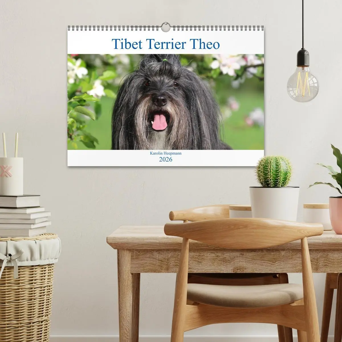 Bild: 9783457766460 | Tibet Terrier Theo (Wandkalender 2026 DIN A3 quer), CALVENDO...