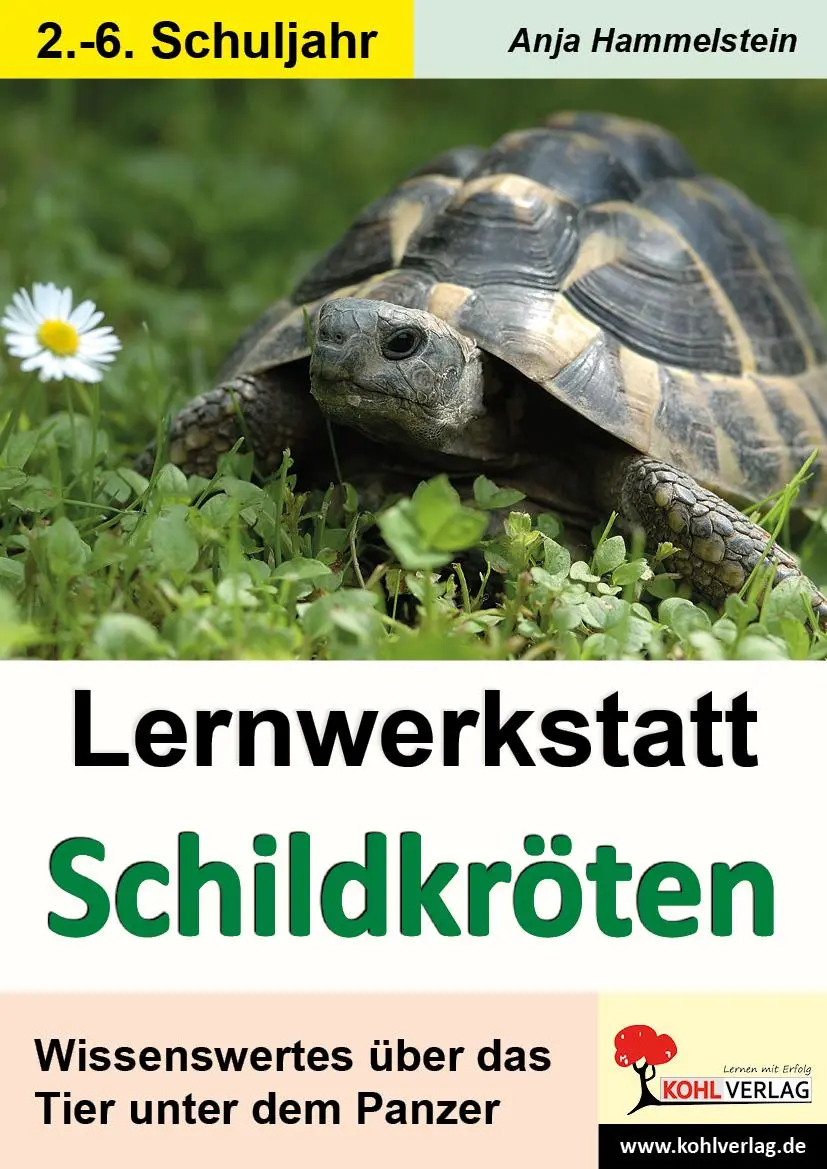 Cover: 9783866326460 | Lernwerkstatt Schildkröten | Broschüre | Lernwerkstatt | Deutsch