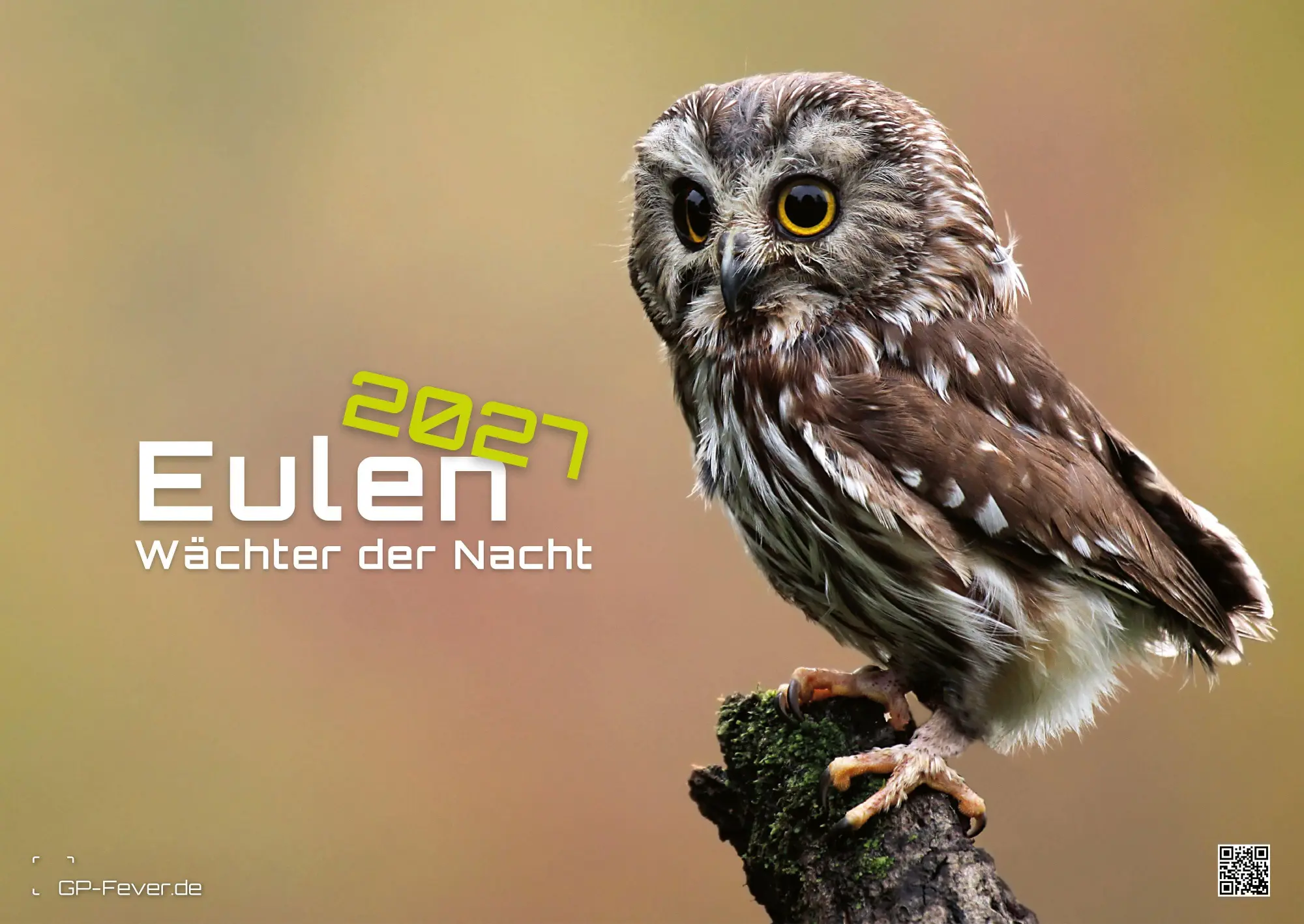 Cover: 9783986736460 | Eulen - Wächter der Nacht - 2027 - Kalender DIN A2 | GP-Fever. de