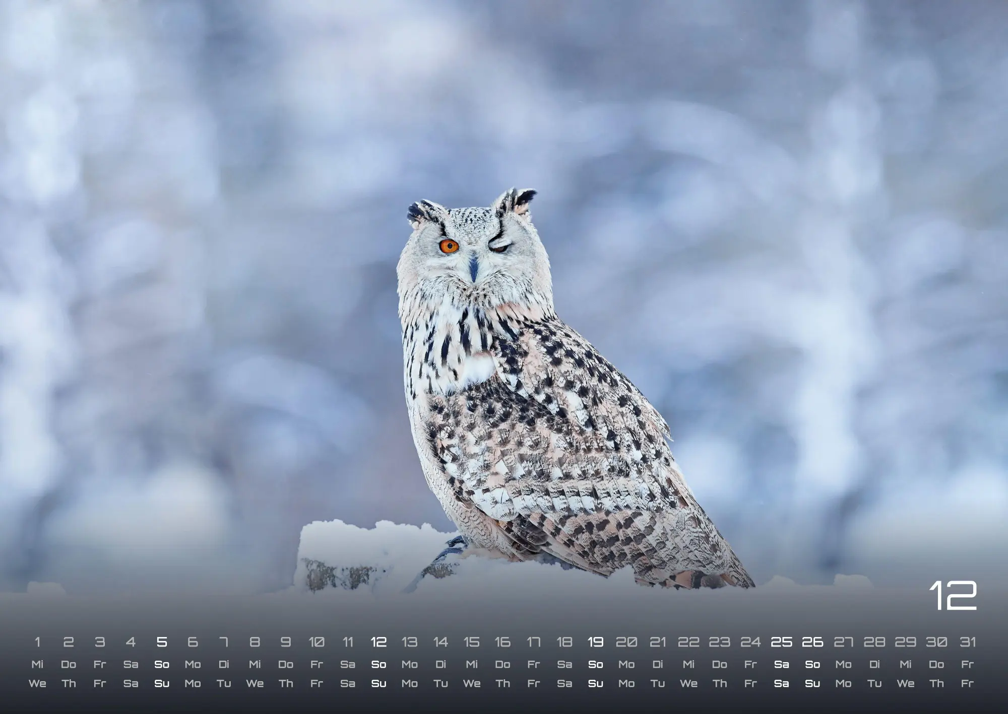 Bild: 9783986736460 | Eulen - Wächter der Nacht - 2027 - Kalender DIN A2 | GP-Fever. de