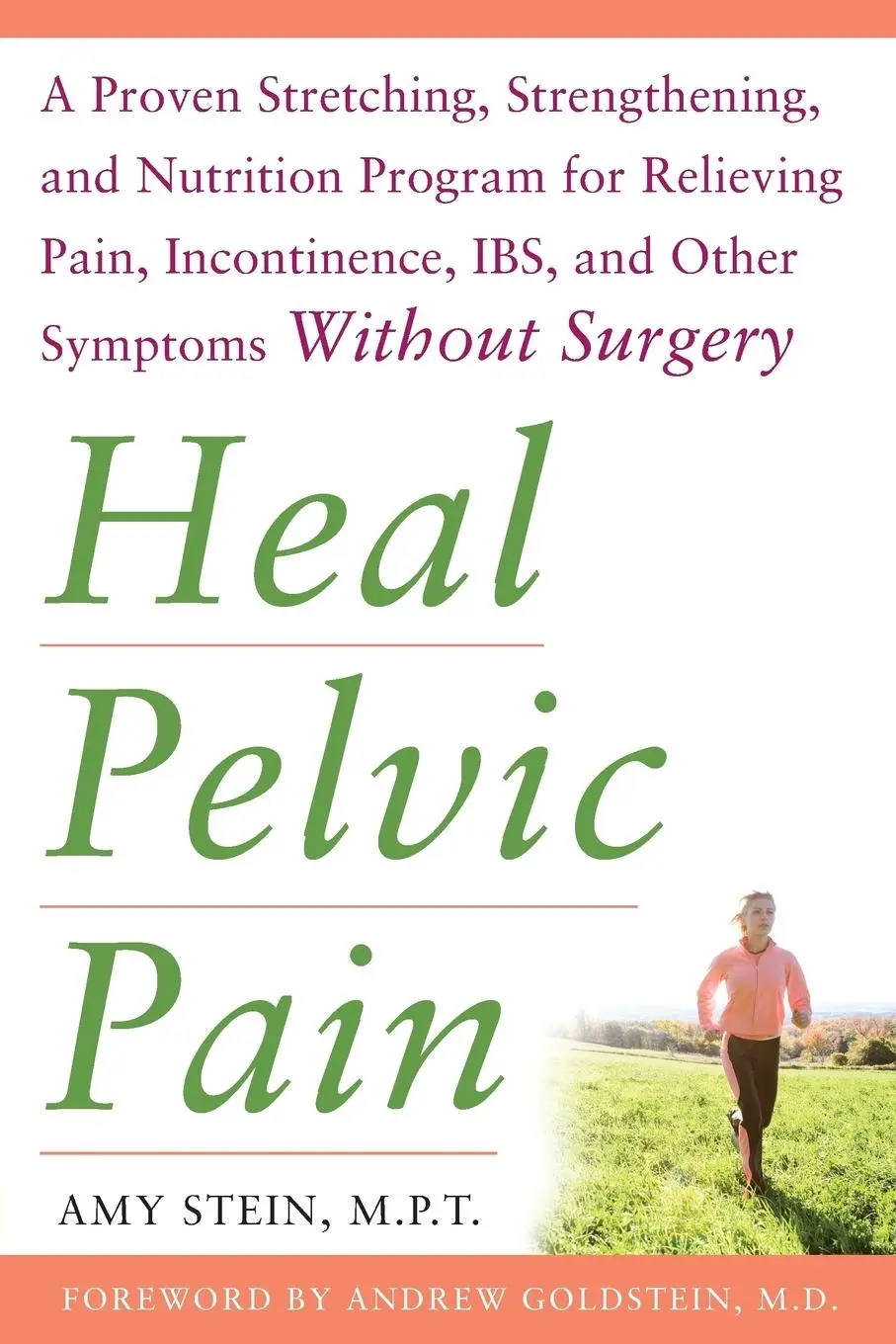 Cover: 9780071546560 | HEAL PELVIC PAIN | Stein | Taschenbuch | Kartoniert / Broschiert