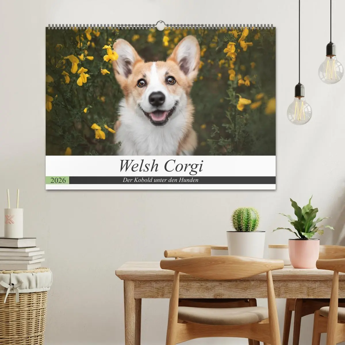Bild: 9783457686560 | Welsh Corgi - Der Kobold unter den Hunden (Wandkalender 2026 DIN A2...