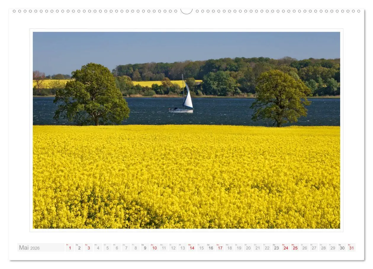 Bild: 9783457826560 | Schleswig-Holstein - über Stadt und Land (Wandkalender 2026 DIN A2...