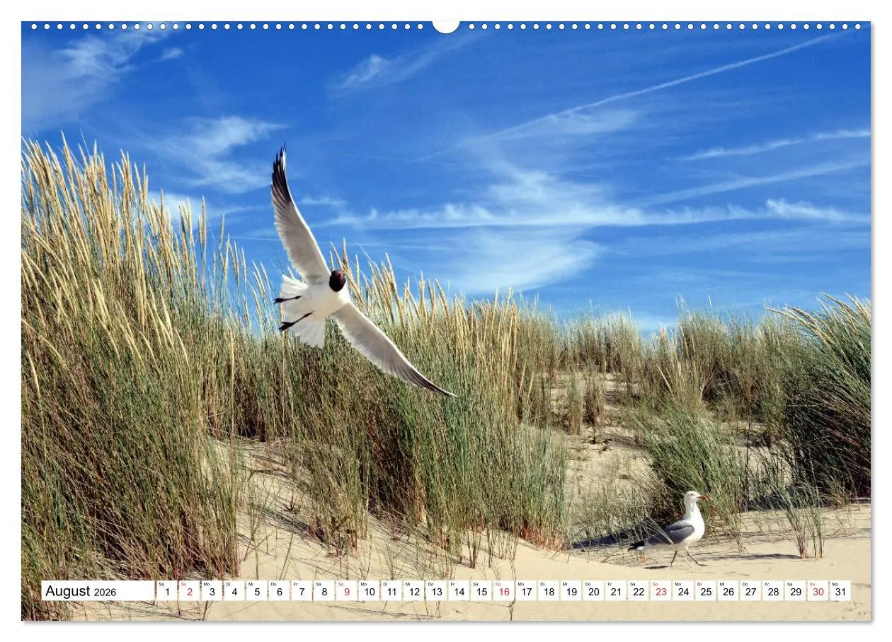 Bild: 9783516226560 | Ouddorp - Nordseeperle (hochwertiger Premium Wandkalender 2026 DIN...