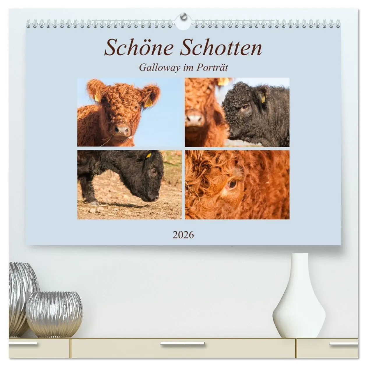 Cover: 9783457676660 | Schöne Schotten - Galloway im Porträt (hochwertiger Premium...