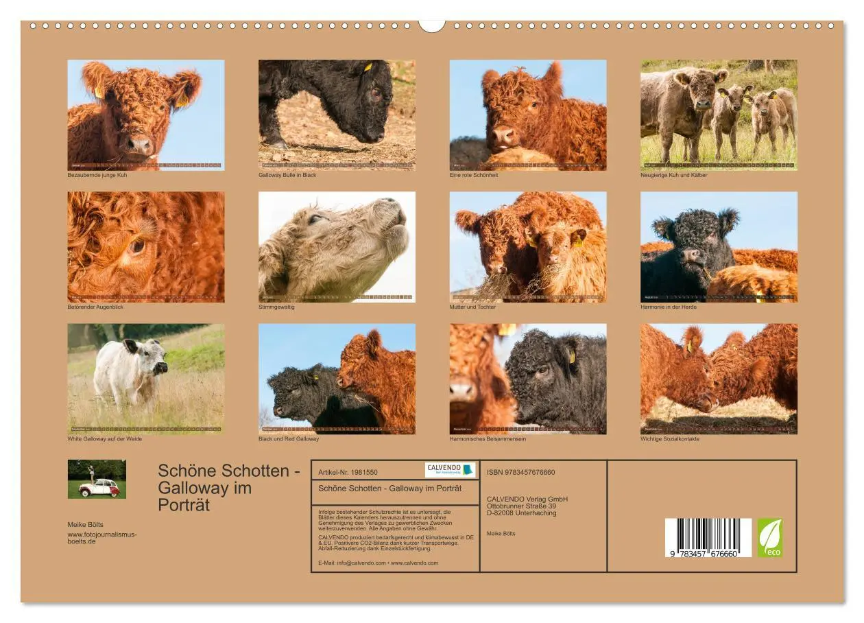 Bild: 9783457676660 | Schöne Schotten - Galloway im Porträt (hochwertiger Premium...