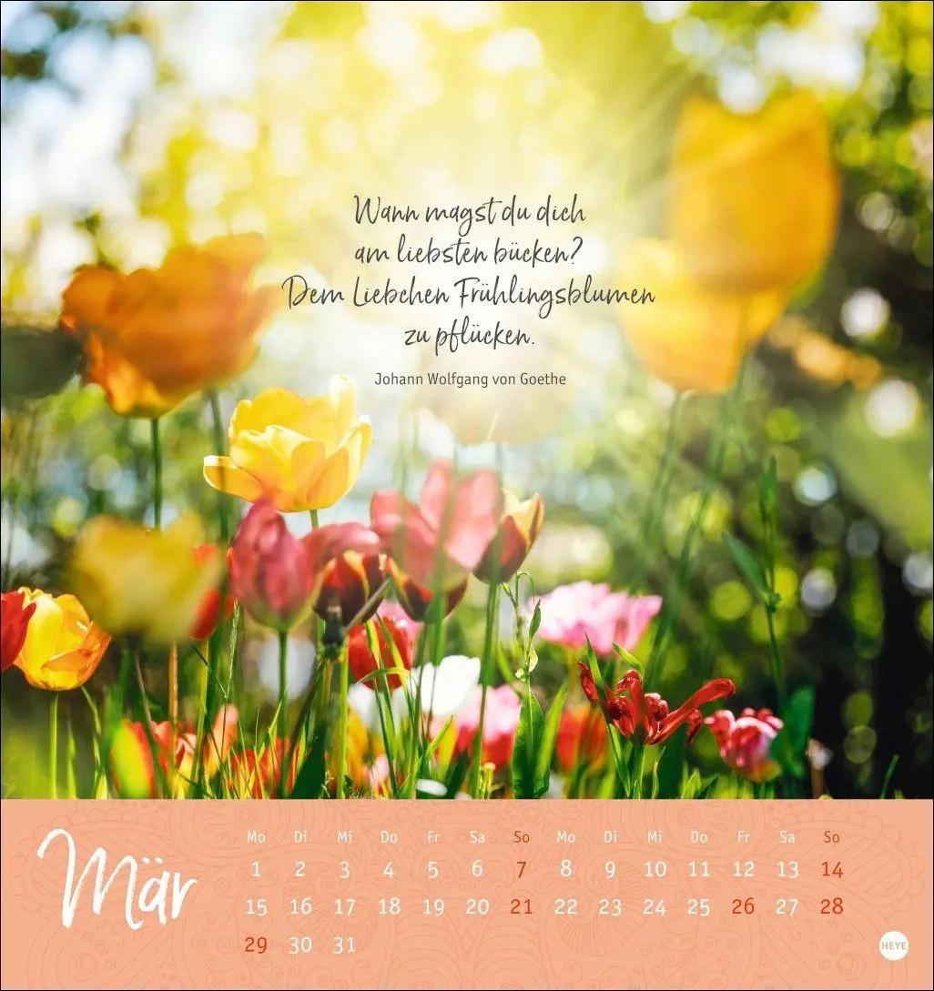 Bild: 9783756416660 | Augenblicke voller Zuversicht Postkartenkalender 2027 | Kalender