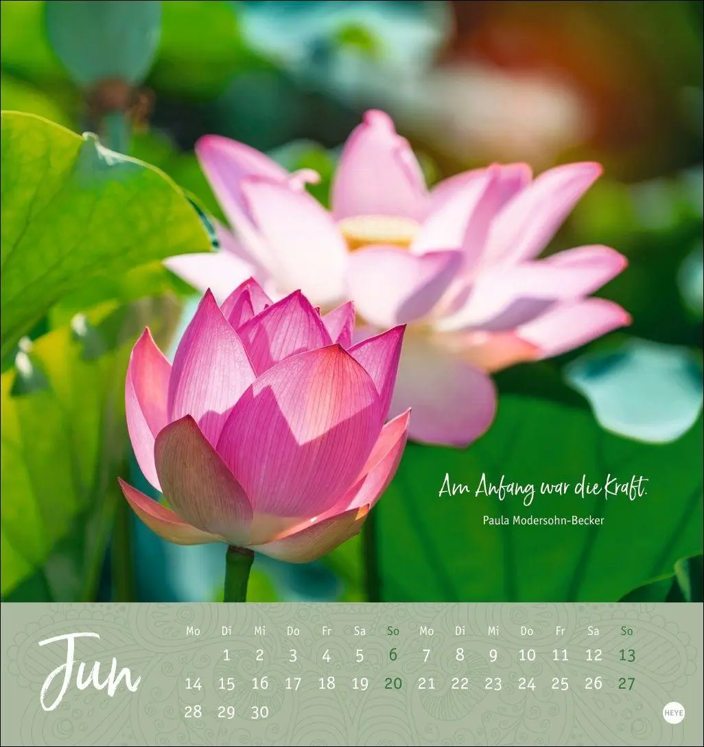 Bild: 9783756416660 | Augenblicke voller Zuversicht Postkartenkalender 2027 | Kalender