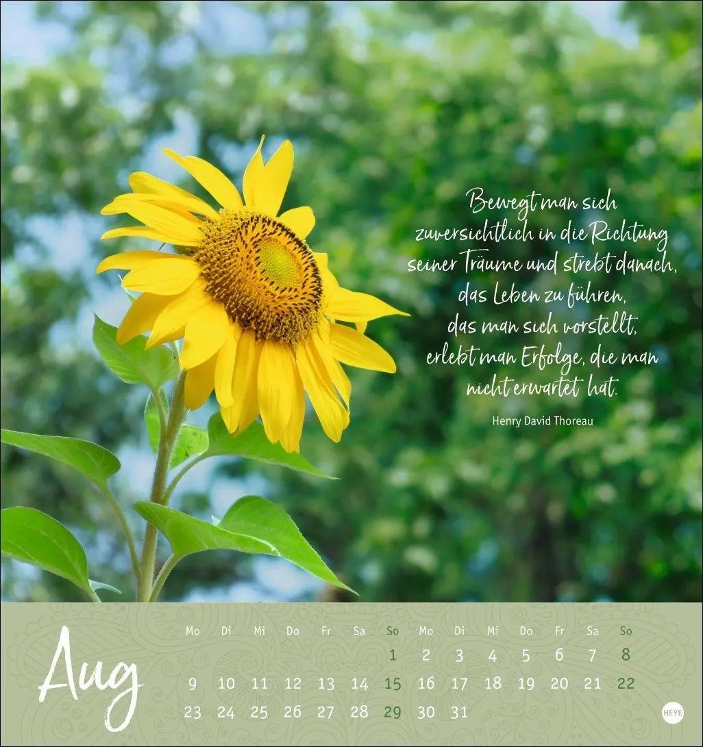 Bild: 9783756416660 | Augenblicke voller Zuversicht Postkartenkalender 2027 | Kalender