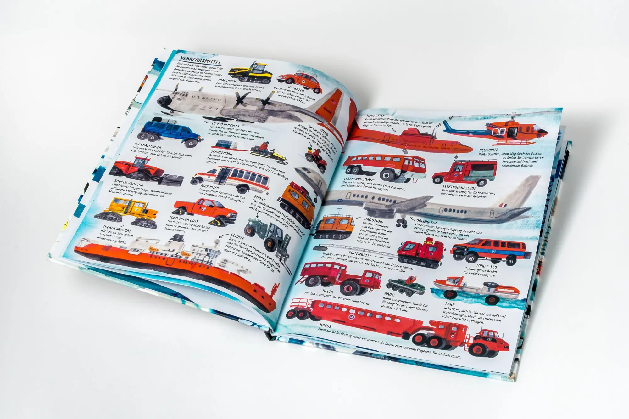 Bild: 9783791376660 | Alles über die Antarktis | Marc Martin | Buch | 44 S. | Deutsch | 2026