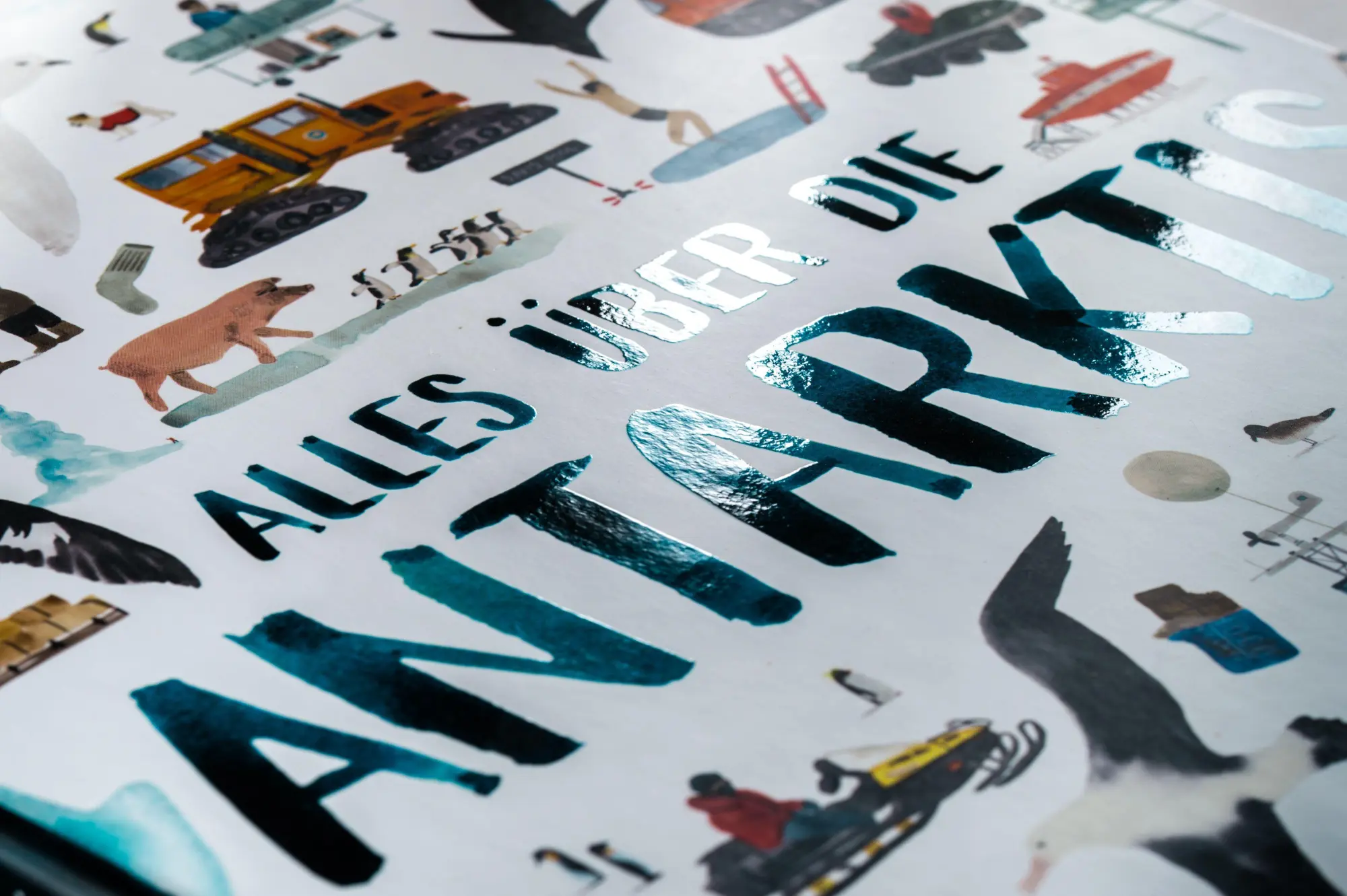 Bild: 9783791376660 | Alles über die Antarktis | Marc Martin | Buch | 44 S. | Deutsch | 2026