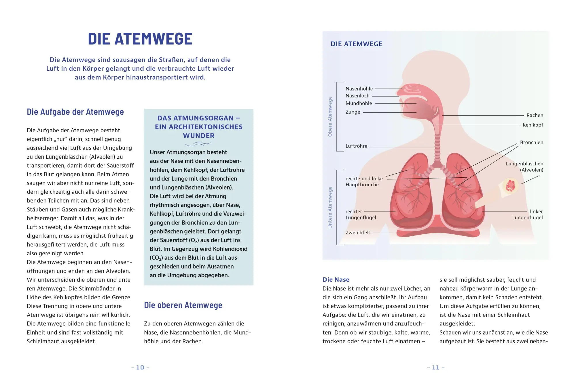 Bild: 9783965846760 | Besser leben mit Asthma und COPD | Thomas Hausen | Taschenbuch | 2026