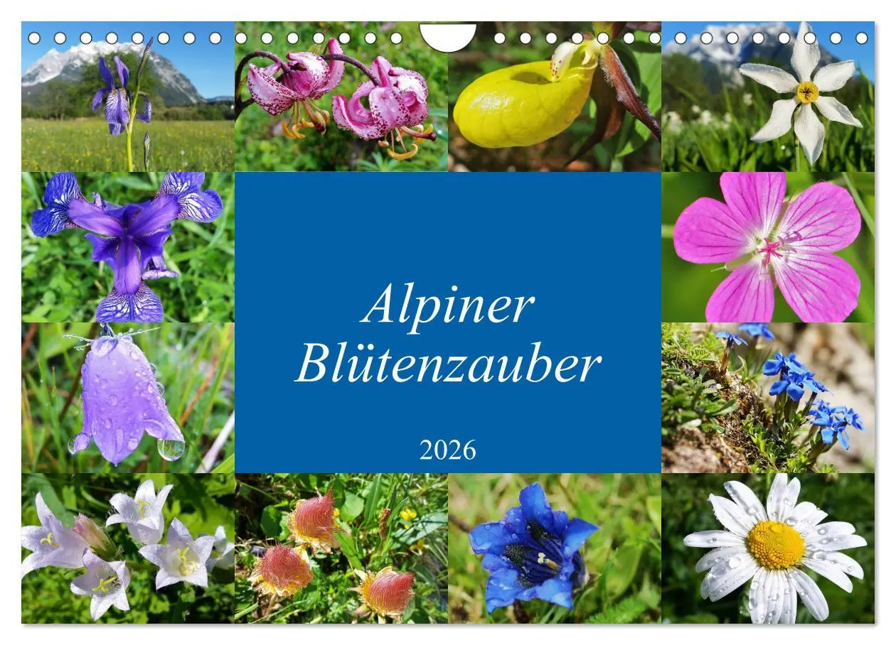 Cover: 9783457896860 | Alpiner Blütenzauber (Wandkalender 2026 DIN A4 quer), CALVENDO...