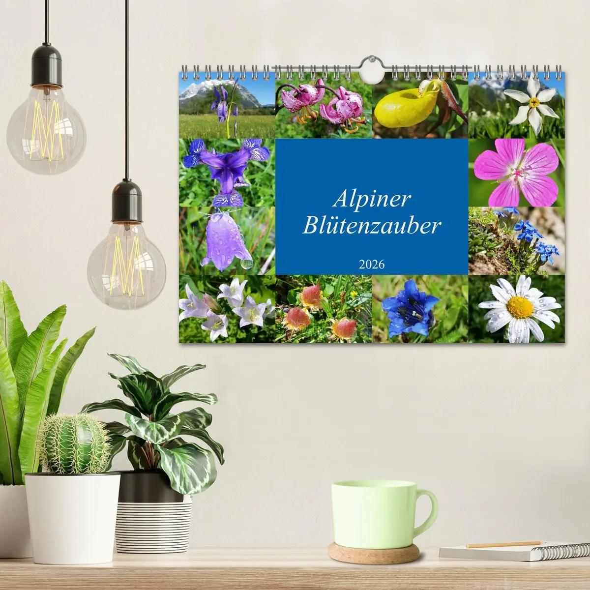 Bild: 9783457896860 | Alpiner Blütenzauber (Wandkalender 2026 DIN A4 quer), CALVENDO...