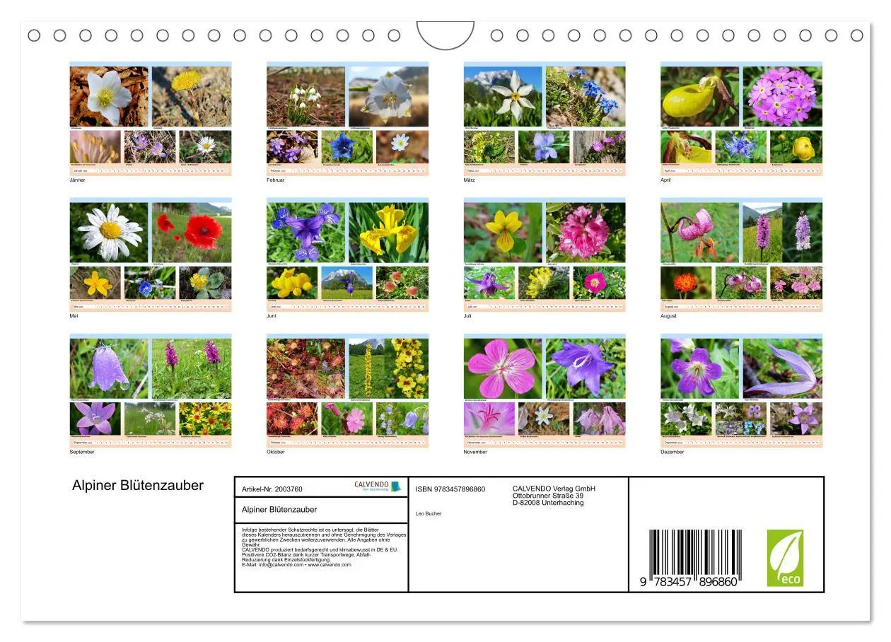 Bild: 9783457896860 | Alpiner Blütenzauber (Wandkalender 2026 DIN A4 quer), CALVENDO...