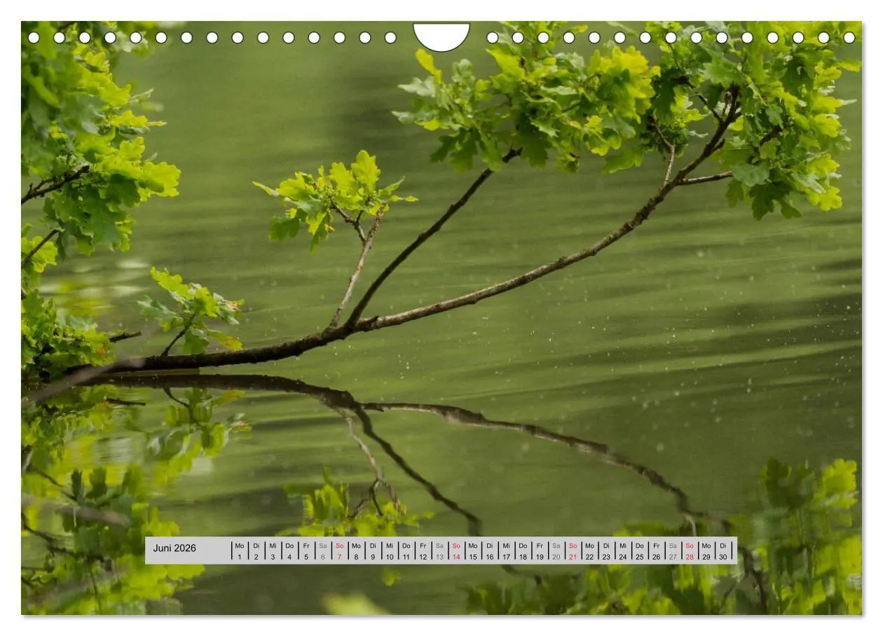Bild: 9783516056860 | Perlen des Westerwaldes (Wandkalender 2026 DIN A4 quer), CALVENDO...