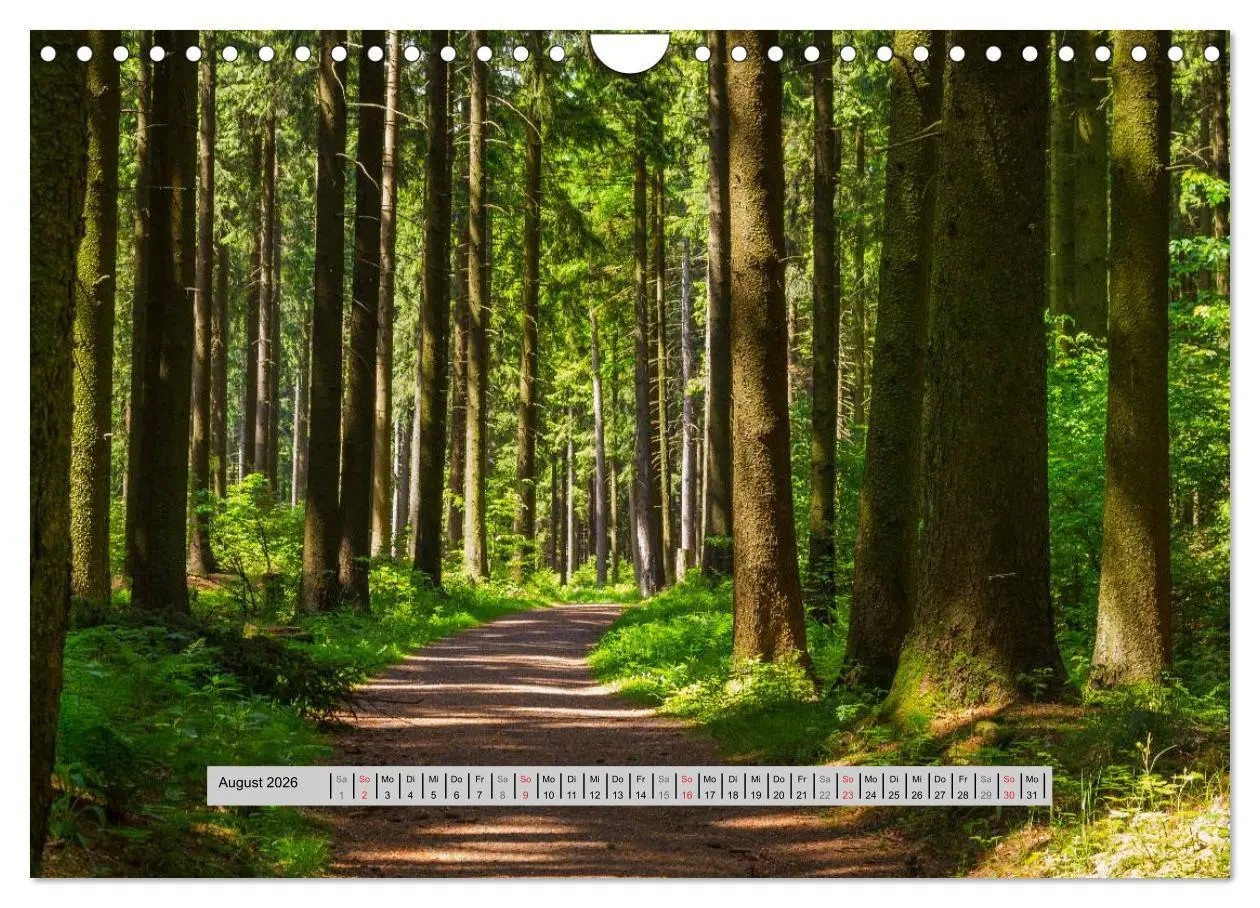 Bild: 9783516056860 | Perlen des Westerwaldes (Wandkalender 2026 DIN A4 quer), CALVENDO...
