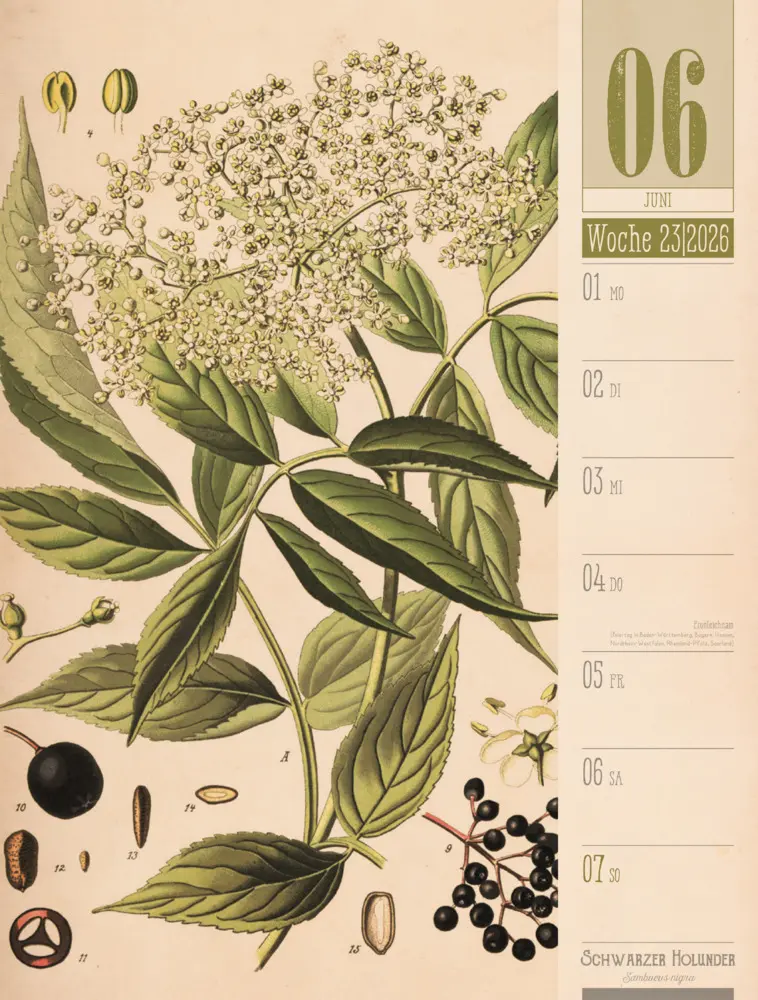 Bild: 9783838426860 | Culinarium Wochenplaner Kalender 2026 Küche, Kräuter, Kurioses | GmbH