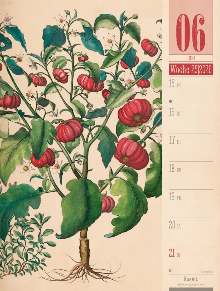 Bild: 9783838426860 | Culinarium Wochenplaner Kalender 2026 Küche, Kräuter, Kurioses | GmbH