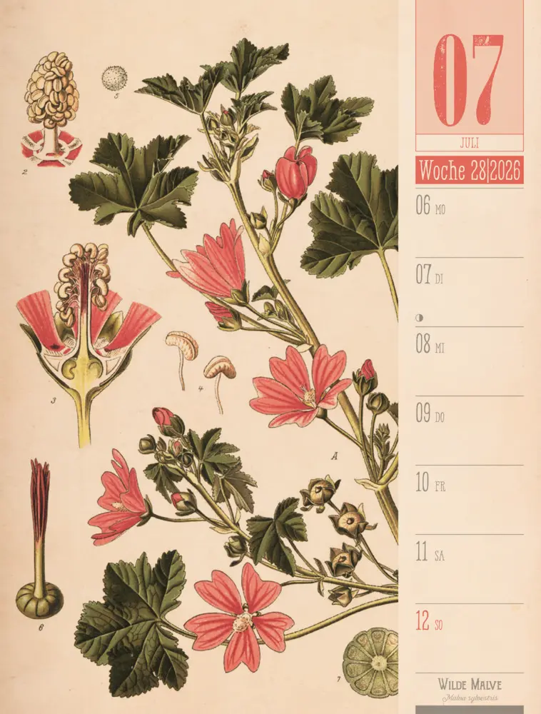 Bild: 9783838426860 | Culinarium Wochenplaner Kalender 2026 Küche, Kräuter, Kurioses | GmbH