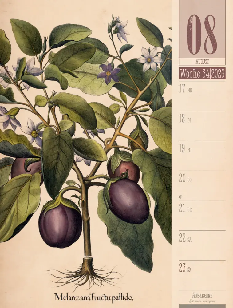 Bild: 9783838426860 | Culinarium Wochenplaner Kalender 2026 Küche, Kräuter, Kurioses | GmbH