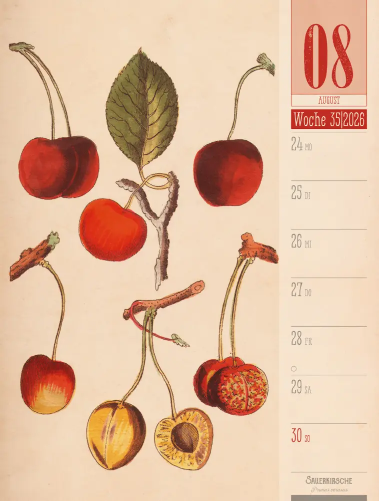 Bild: 9783838426860 | Culinarium Wochenplaner Kalender 2026 Küche, Kräuter, Kurioses | GmbH