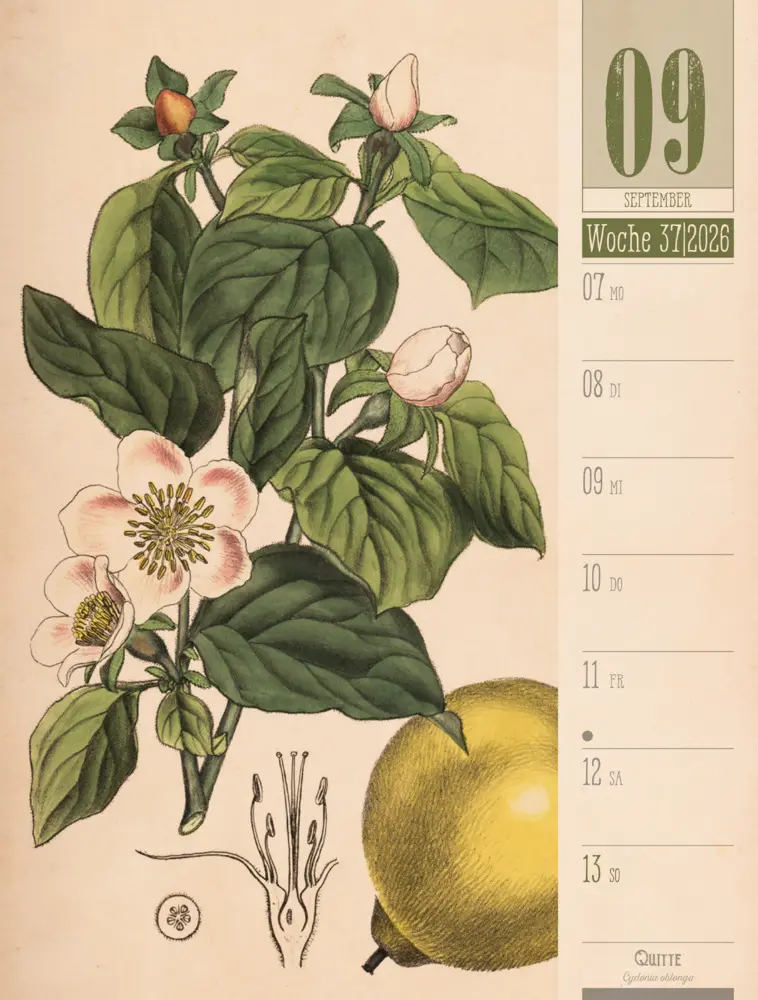 Bild: 9783838426860 | Culinarium Wochenplaner Kalender 2026 Küche, Kräuter, Kurioses | GmbH