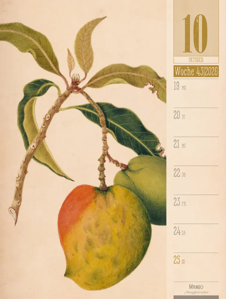 Bild: 9783838426860 | Culinarium Wochenplaner Kalender 2026 Küche, Kräuter, Kurioses | GmbH