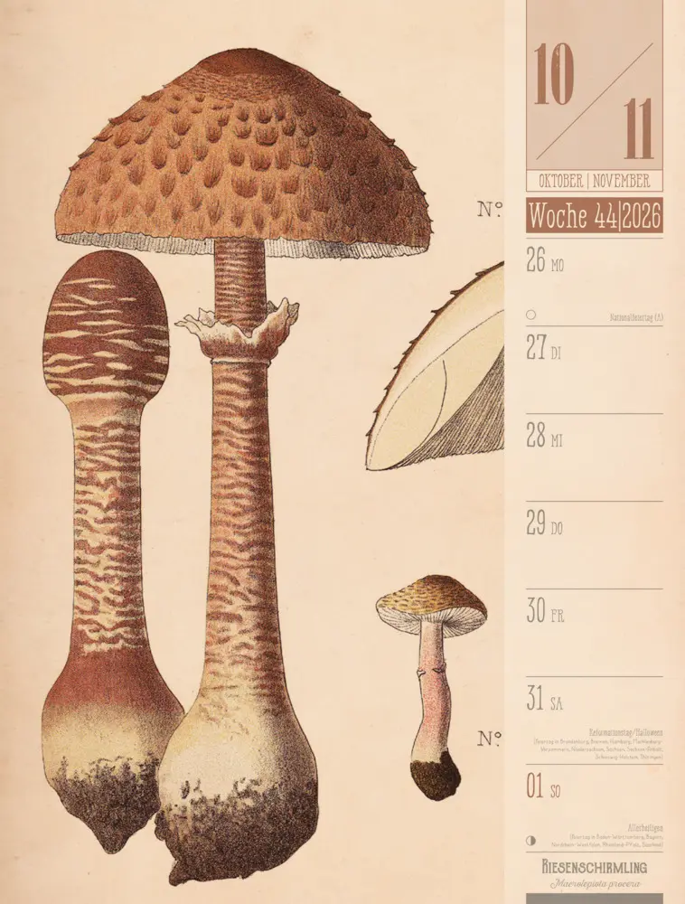 Bild: 9783838426860 | Culinarium Wochenplaner Kalender 2026 Küche, Kräuter, Kurioses | GmbH