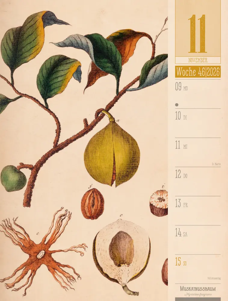 Bild: 9783838426860 | Culinarium Wochenplaner Kalender 2026 Küche, Kräuter, Kurioses | GmbH