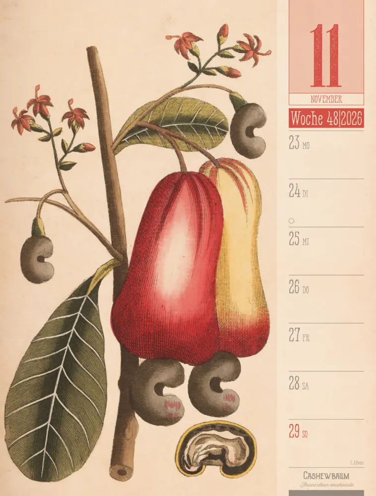 Bild: 9783838426860 | Culinarium Wochenplaner Kalender 2026 Küche, Kräuter, Kurioses | GmbH