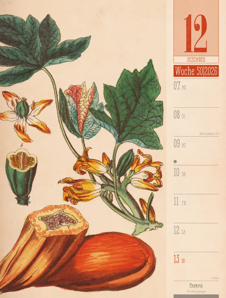 Bild: 9783838426860 | Culinarium Wochenplaner Kalender 2026 Küche, Kräuter, Kurioses | GmbH