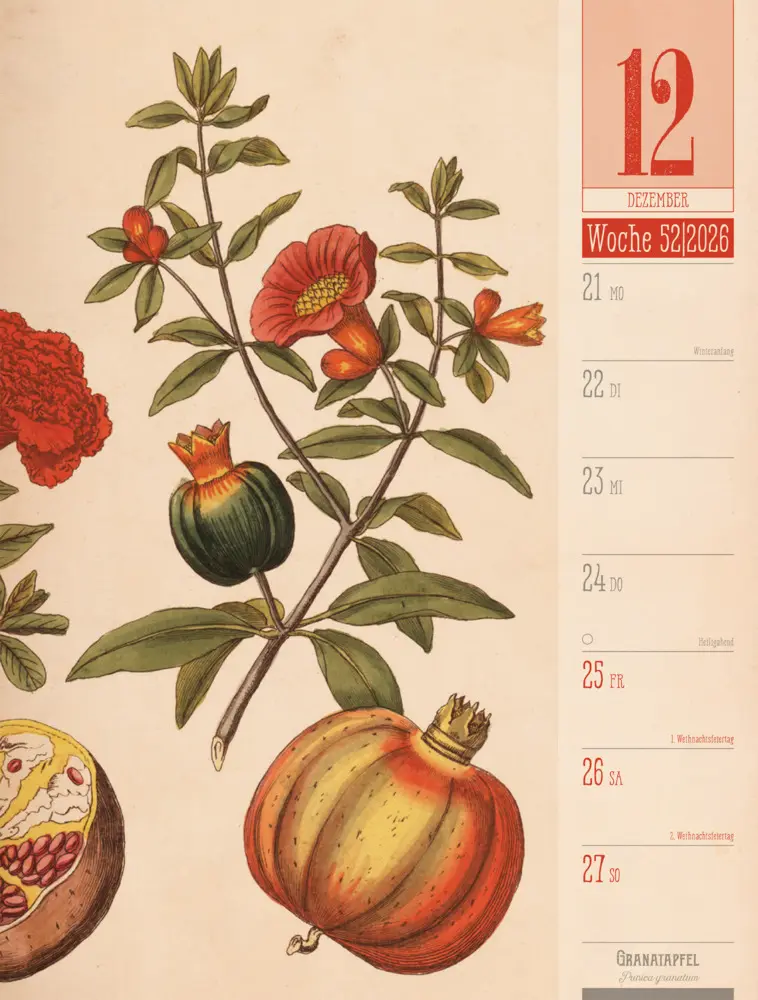Bild: 9783838426860 | Culinarium Wochenplaner Kalender 2026 Küche, Kräuter, Kurioses | GmbH