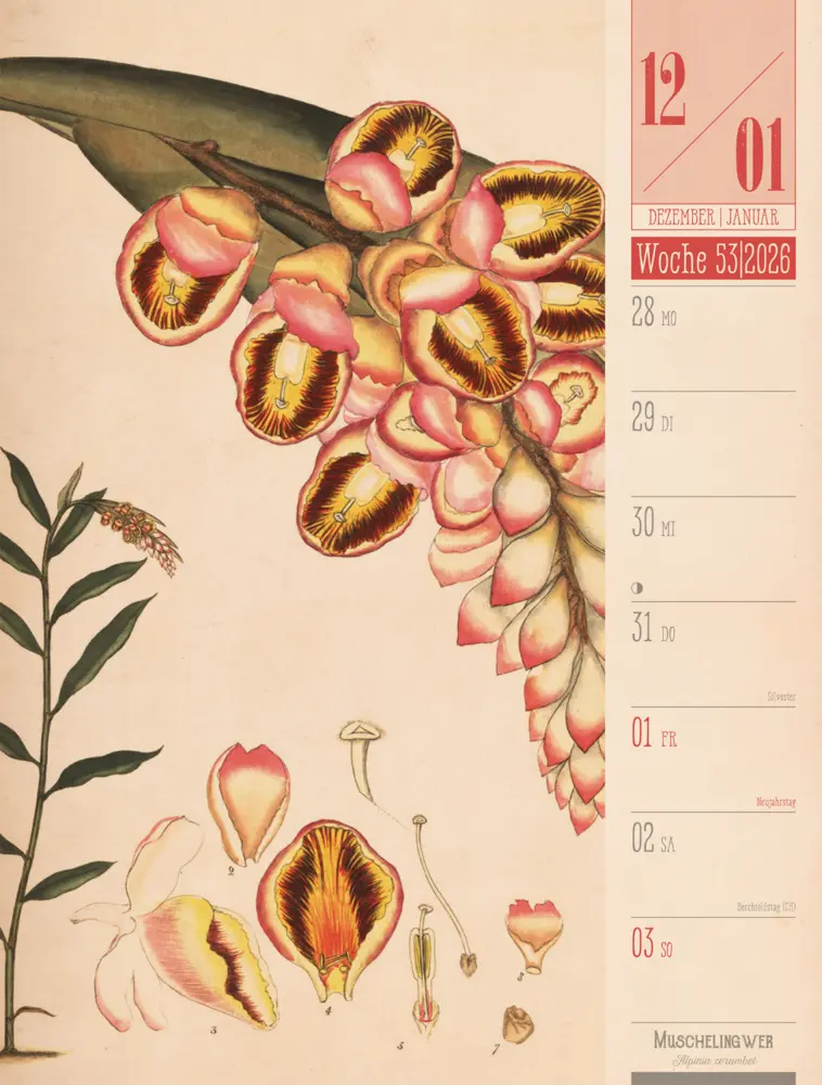 Bild: 9783838426860 | Culinarium Wochenplaner Kalender 2026 Küche, Kräuter, Kurioses | GmbH