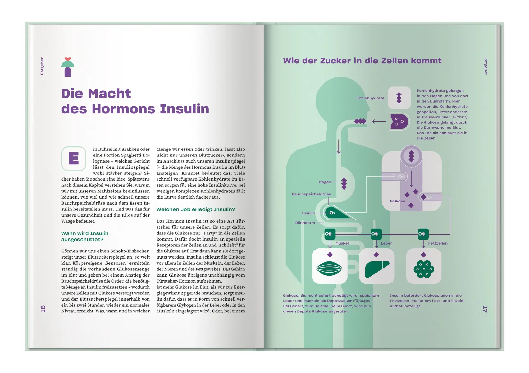Bild: 9783927216860 | Apotheken Umschau: Blutzucker in Balance | Wort &amp; Bild Verlag | Buch