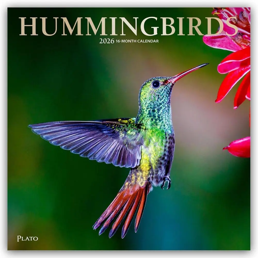 Cover: 9798330706860 | Hummingbirds - Kolibris 2026 - 16-Monatskalender | Inc | Kalender