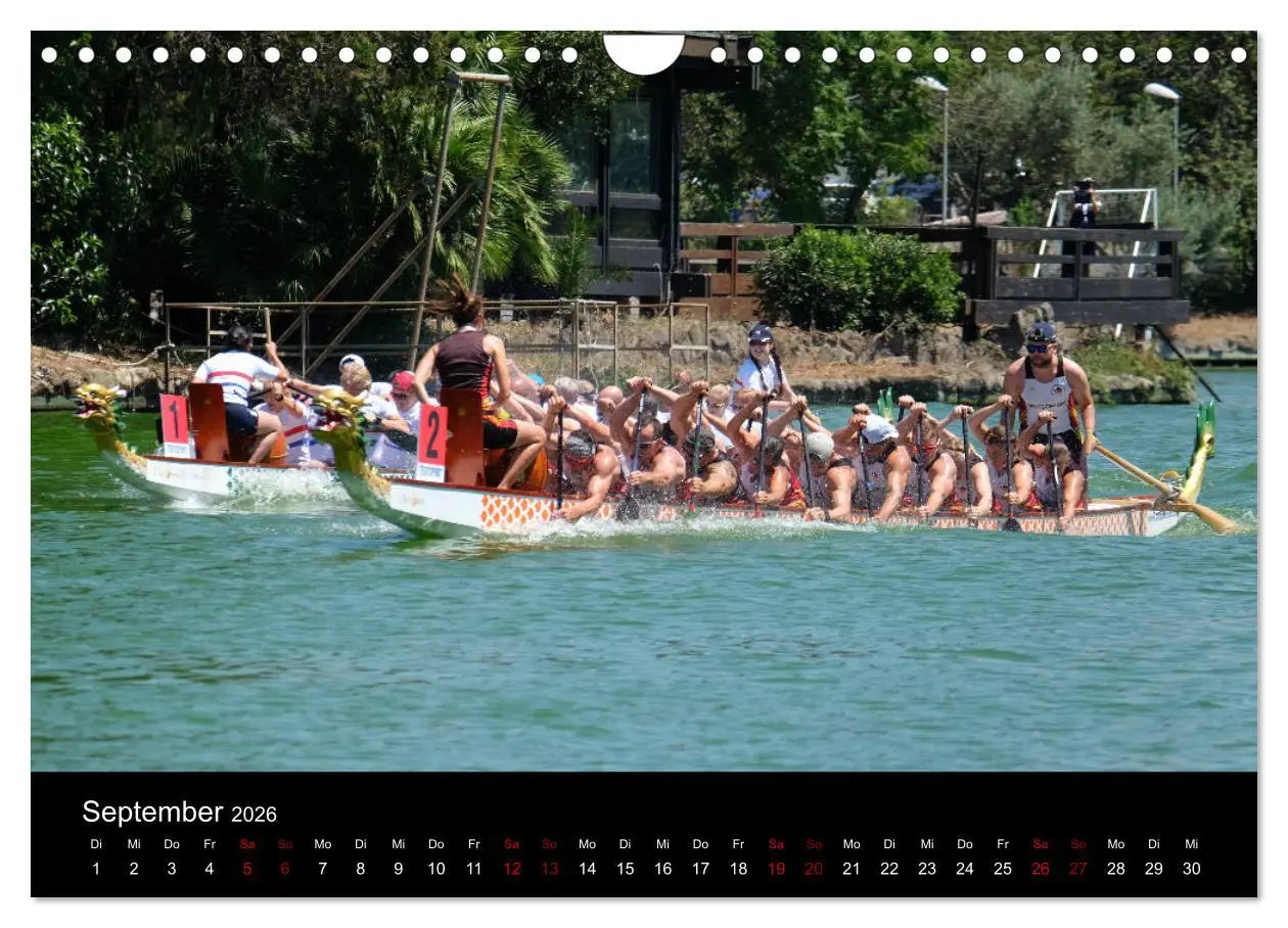 Bild: 9783457886960 | Drachenboot - MissionRome (Wandkalender 2026 DIN A4 quer), CALVENDO...