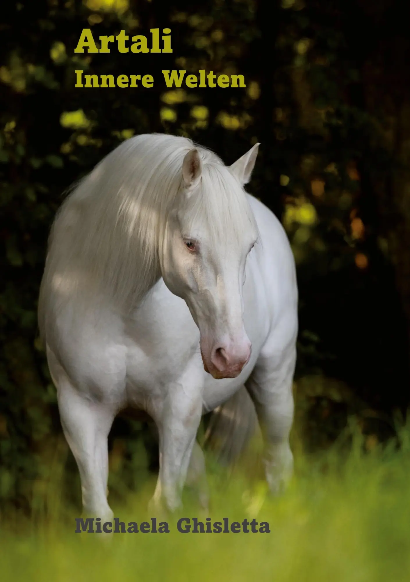 Cover: 9783769356960 | Artali | Innere Welten | Michaela Ghisletta | Taschenbuch | 96 S.
