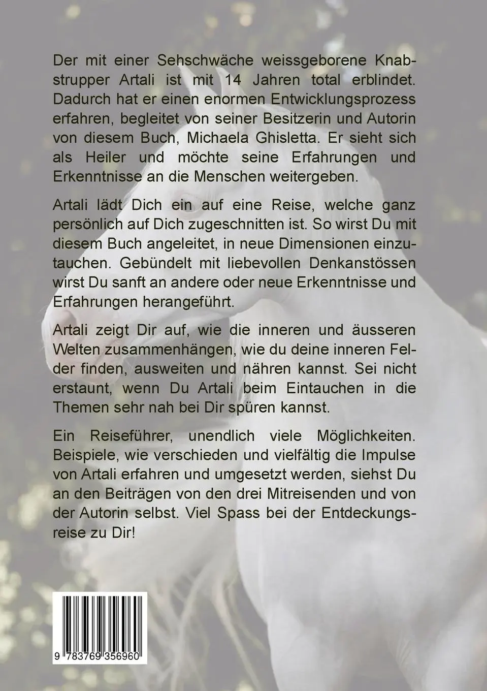 Rückseite: 9783769356960 | Artali | Innere Welten | Michaela Ghisletta | Taschenbuch | 96 S.
