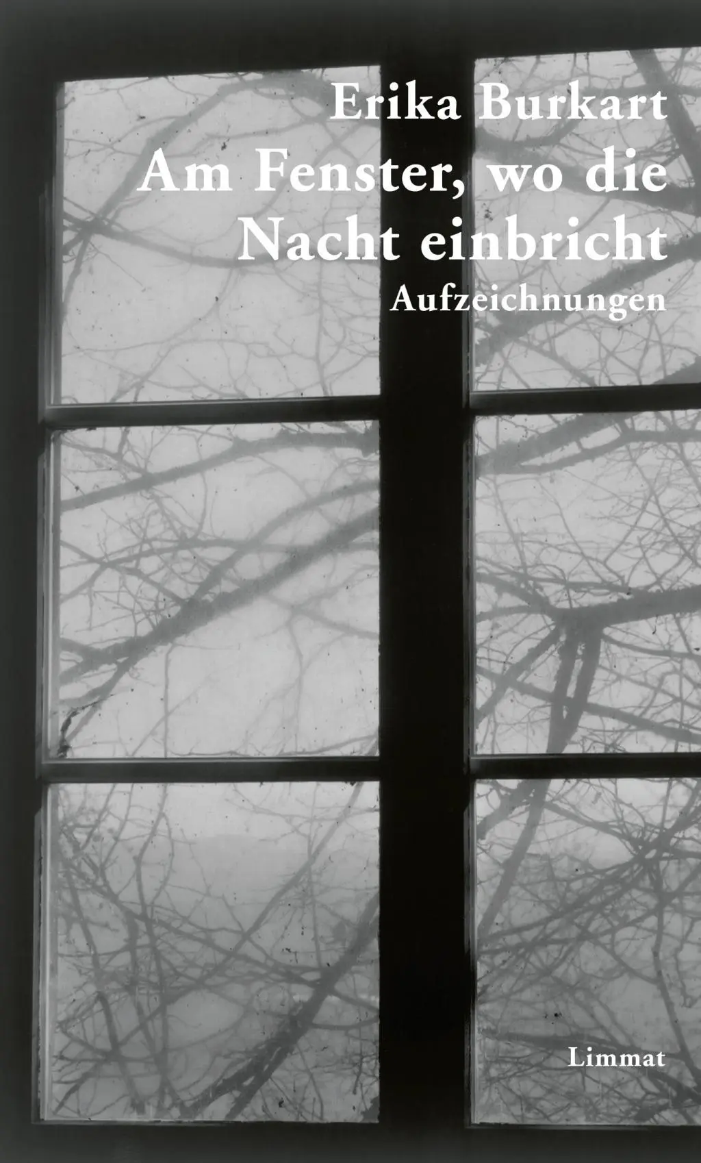 Cover: 9783857916960 | Am Fenster, wo die Nacht einbricht | Aufzeichnungen | Erika Burkart
