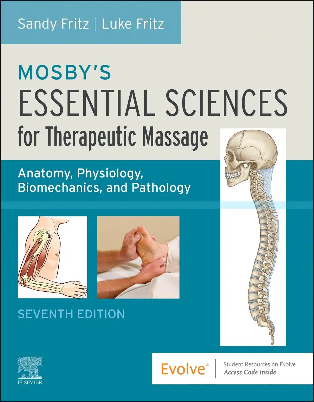 Cover: 9780443117060 | Mosby's Essential Sciences for Therapeutic Massage | Fritz (u. a.)