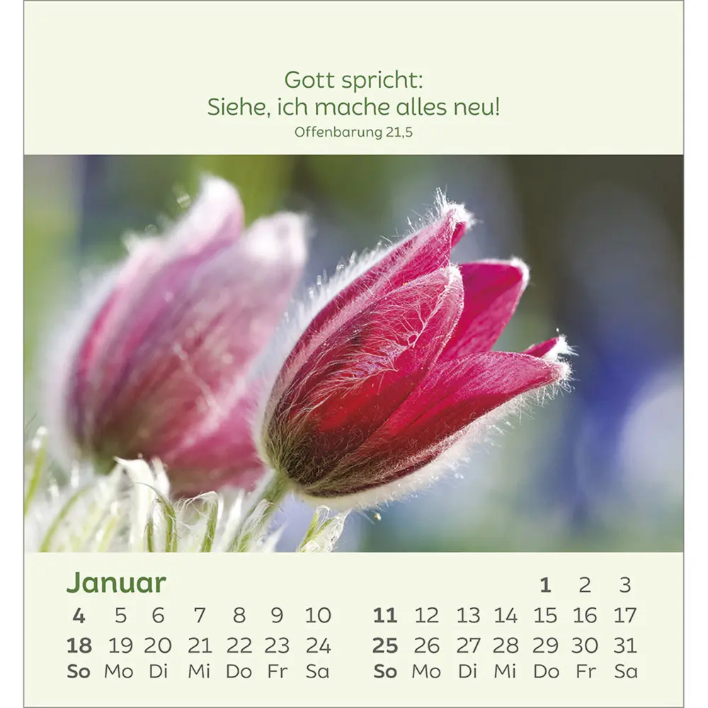 Bild: 9783754847060 | Kleine Blumengrüße 2026 | Kalender | Spiralbindung | 14 S. | Deutsch