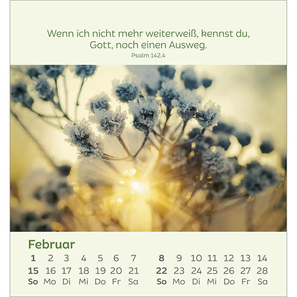 Bild: 9783754847060 | Kleine Blumengrüße 2026 | Kalender | Spiralbindung | 14 S. | Deutsch